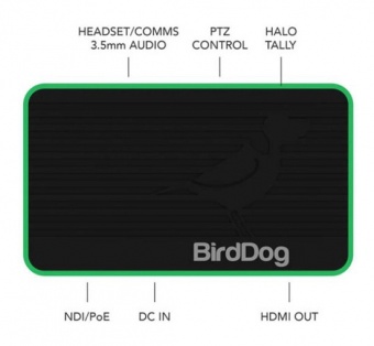 BirdDog Flex 4K HDMI Out Full NDI Decoder