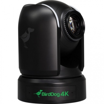 BirdDog BDP4K видеокамера 4К